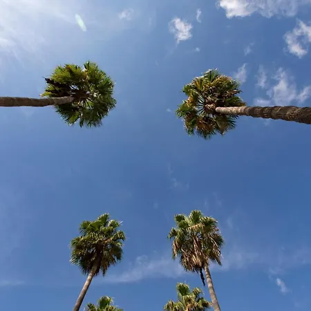 Luxury Boutique In Torres Del Sol Apartment Playa de las Américas