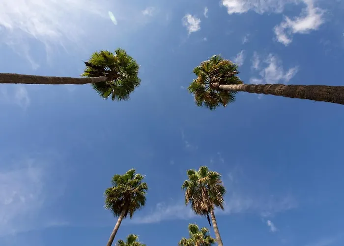 Luxury Boutique In Torres Del Sol Apartament Playa de las Americas (Tenerife)